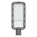 LED Улична лампа LED/100W/230V 6500K IP65 сив