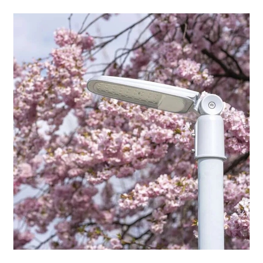 LED Улична лампа SOLIS LED/30W/230V 4000K IP65