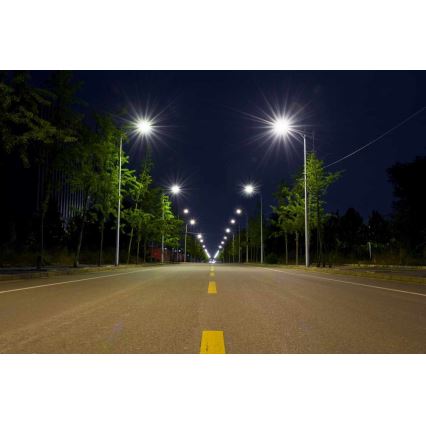 LED Улична лампа BOSTON LED/35W/230V IP65