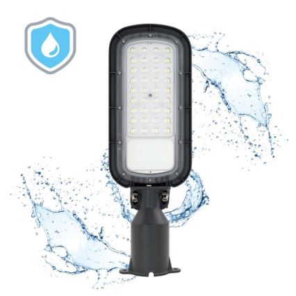 LED улична лампа BRELUXO LED/50W/230V 4000K IP65