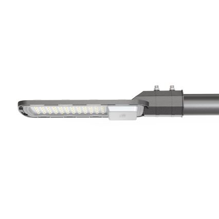 LED Улична лампа LED/50W/230V 6500K IP65 сив