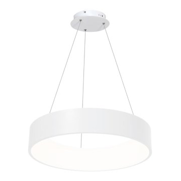 LED Висящ полилей OHIO LED/24W/230V