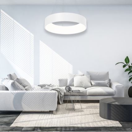 LED Висящ полилей OHIO LED/24W/230V
