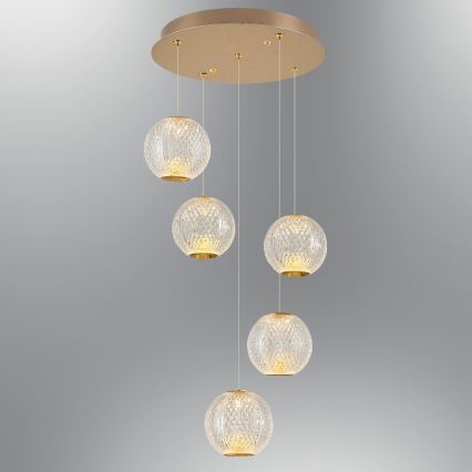 LED Висяща лампа CREMONA 5xLED/5W/230V 3000K златна