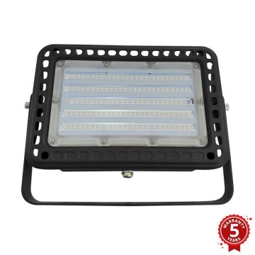 LED Външен рефлектор PROFI LED / 100W / 180-305V IP65