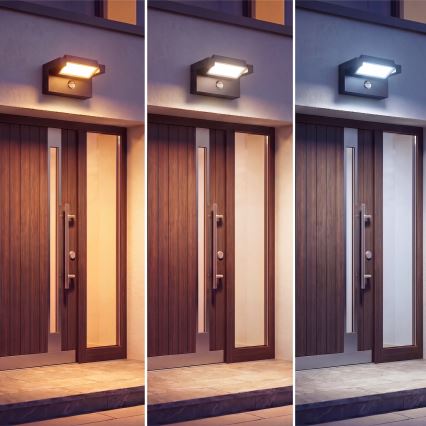 LED външен стенен осветител с сензор за движение и сумрак LED/25W/230V 3000/4000/6500K IP54 черен