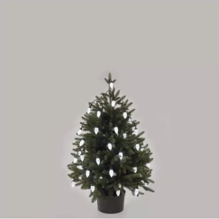 LED Външна  гирлянда 50xLED/8 функции 14,8 m IP44 студено бяло