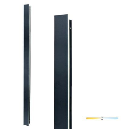 LED външна стенна лампа MIRANA LED/25W/230V 4000K IP44 120 cm черна