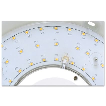 LED Външна светлина на тавана VICTOR LED / 25W / 230V IP44