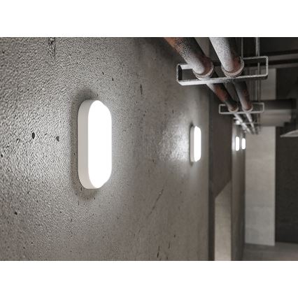 LED външно стенно осветително тяло LED/12W/230V IP54 бяло