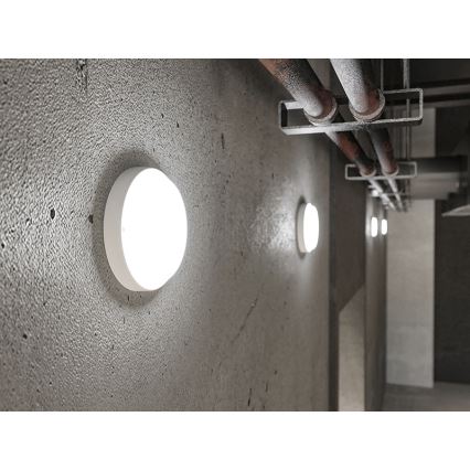 LED Външно стенно осветително тяло LED/18W/230V IP54 бяло