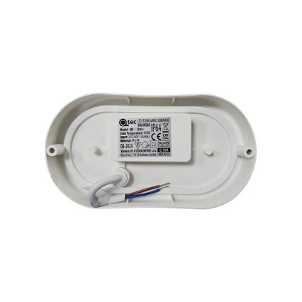 LED външно таванно осветително тяло LED/8W/230V 4200K IP64 бяло