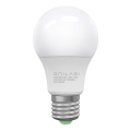 LED Крушка ECOLINE A60 E27/10W/230V 6500K - Brilagi