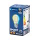 LED Крушка FILAMENT G45 E27/4,5W/230V 2700-6500K - Aigostar