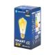 LED Крушка FILAMENT ST64 E27/6W/230V 2700-6500K - Aigostar