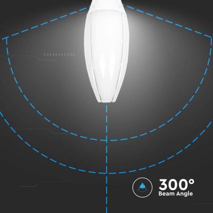 LED Крушка SAMSUNG CHIP E40/60W/230V 4000K