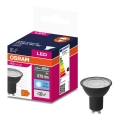 LED Крушка VALUE PAR16 GU10/6,9W/230V 6500K 36° черен - Osram
