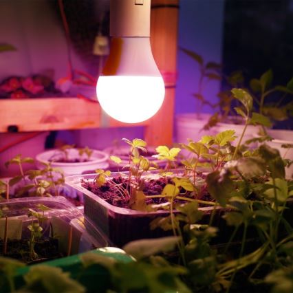 LED Крушка за растения PLANTY E27/11W/230V 1200K бял