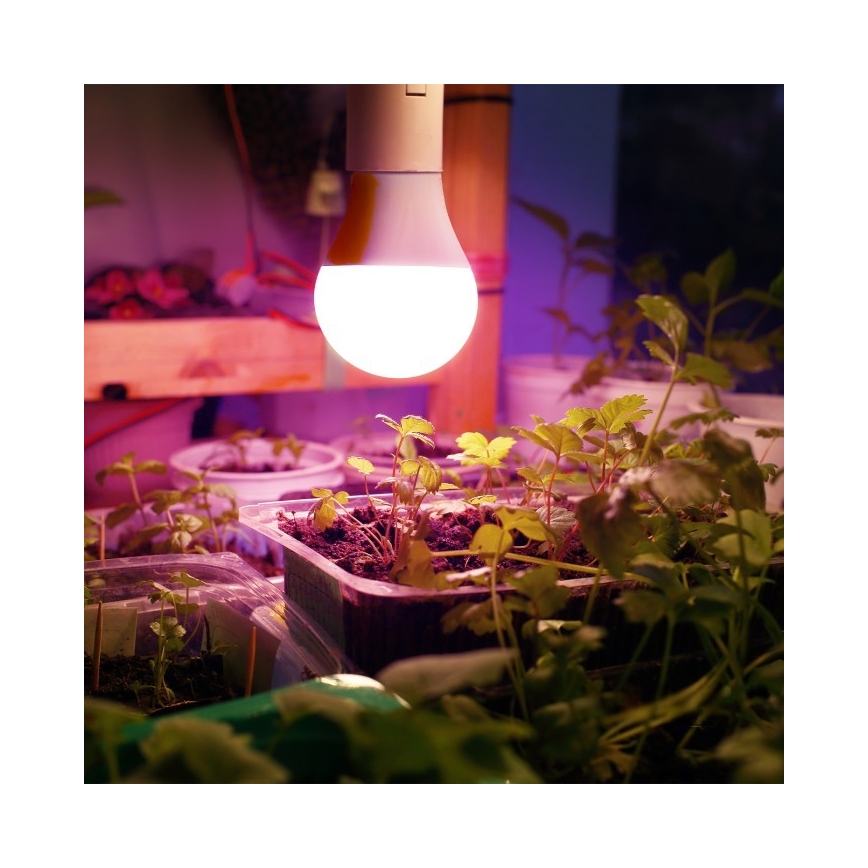 LED Крушка за растения PLANTY E27/11W/230V 1200K бял