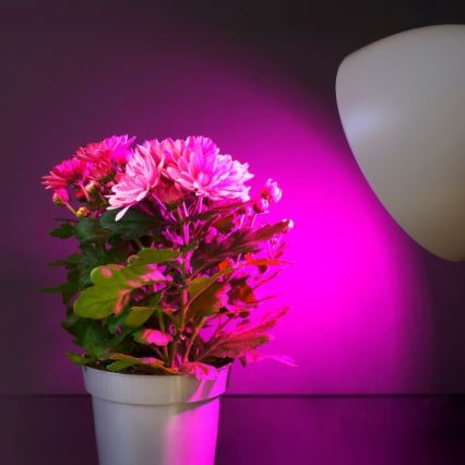 LED Крушка за растения PLANTY E27/11W/230V 1200K бял