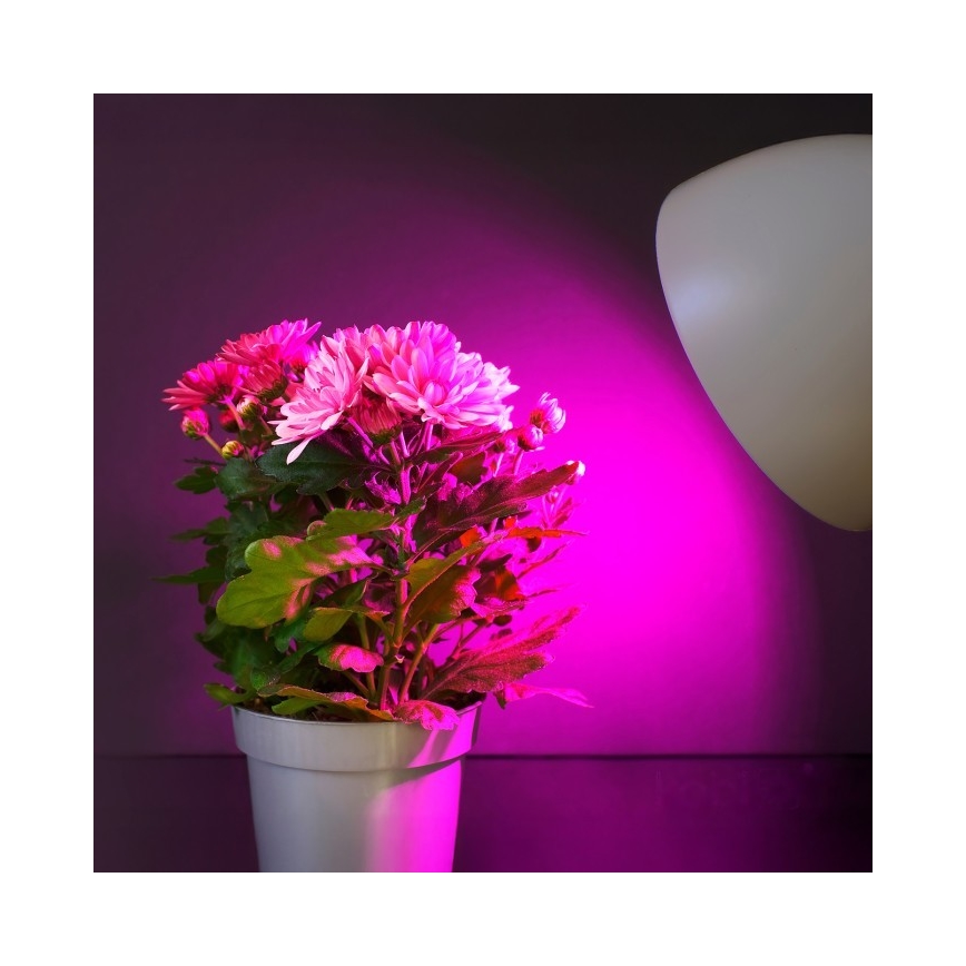 LED Крушка за растения PLANTY E27/11W/230V 1200K бял