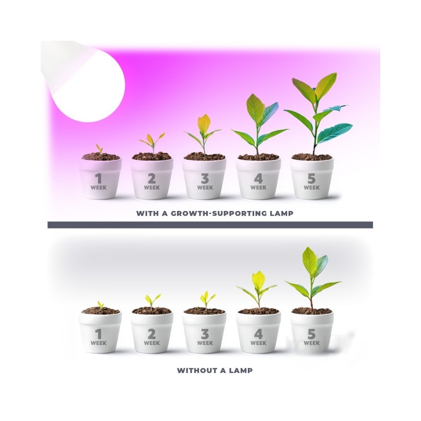 LED Крушка за растения PLANTY E27/11W/230V 1200K бял