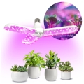 LED Крушка за растения PLANTY E27/24W/230V 1200K