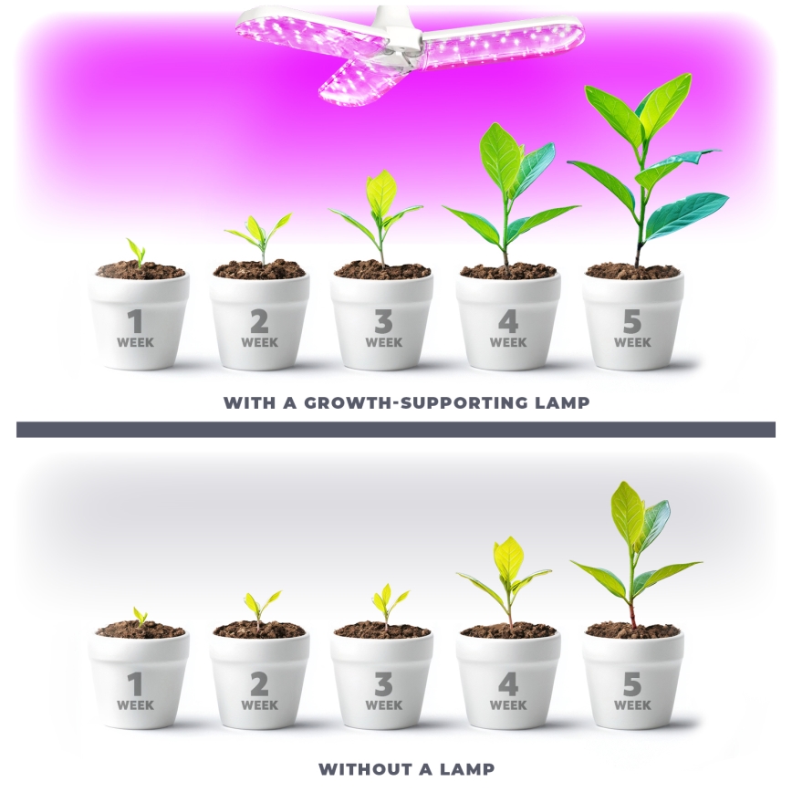 LED Крушка за растения PLANTY E27/24W/230V 1200K