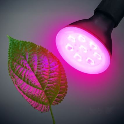 LED Крушка за растения PLANTY E27/7W/230V 1200K черен