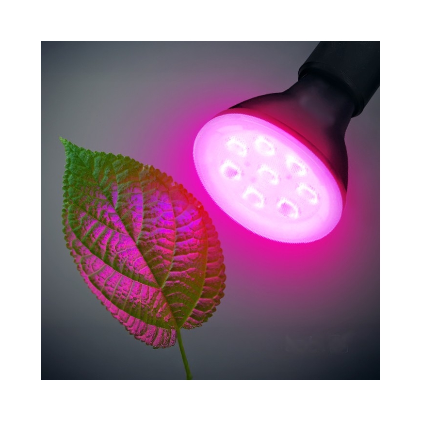 LED Крушка за растения PLANTY E27/7W/230V 1200K черен