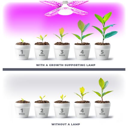 LED Крушка за растения VITABLOOM E27/40W/230V 1200K - Brilagi
