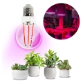 LED Крушка за растения VITABLOOM E27/8W/230V 1200K - Brilagi
