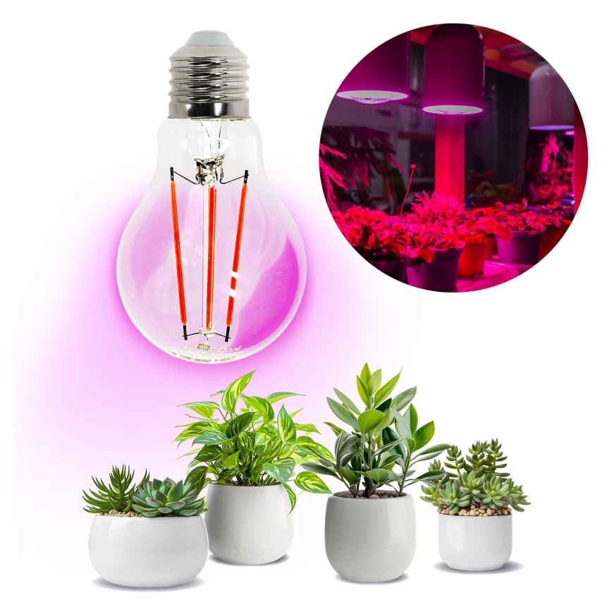 LED Крушка за растения VITABLOOM E27/8W/230V 1200K - Brilagi