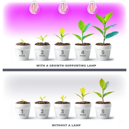 LED Крушка за растения VITABLOOM E27/8W/230V 1200K - Brilagi