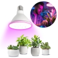 LED Крушка за растения VITABLOOM E27/9W/230V 1200K бял - Brilagi