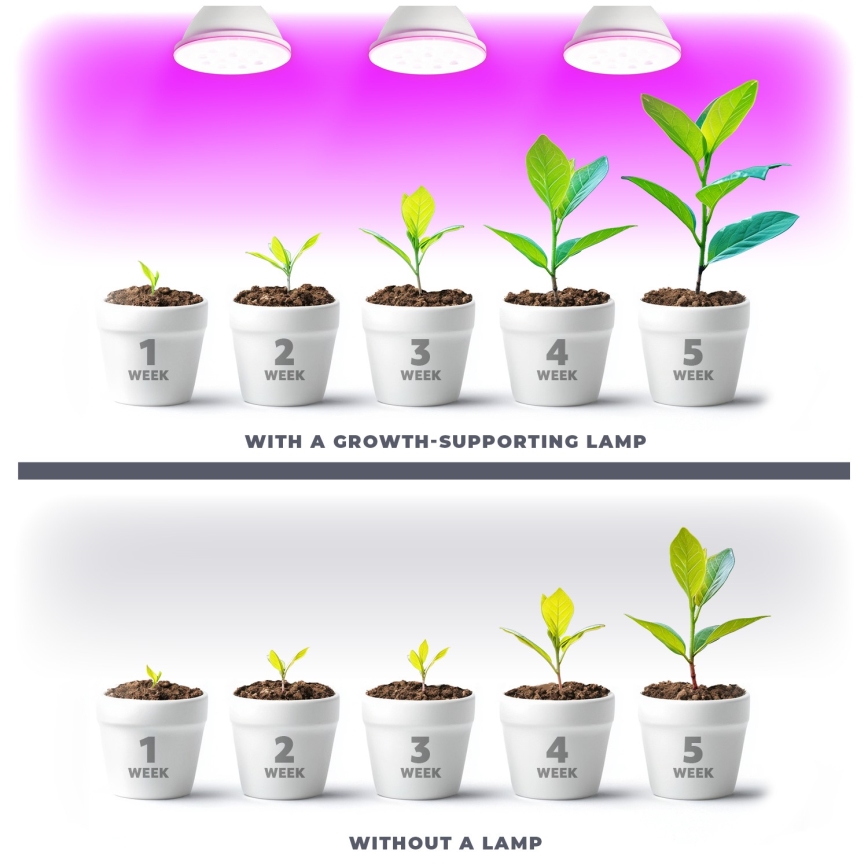 LED Крушка за растения VITABLOOM E27/9W/230V 1200K бял - Brilagi