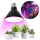 LED Крушка за растения VITABLOOM E27/9W/230V 1200K черен - Brilagi