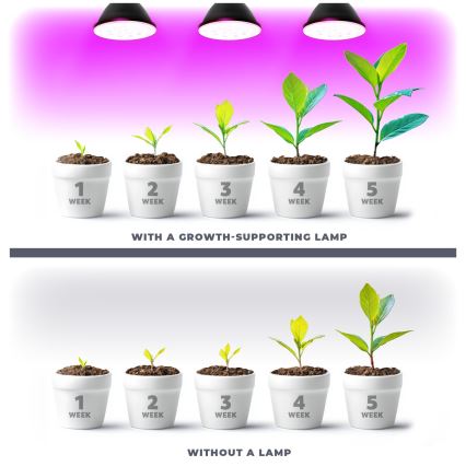 LED Крушка за растения VITABLOOM E27/9W/230V 1200K черен - Brilagi