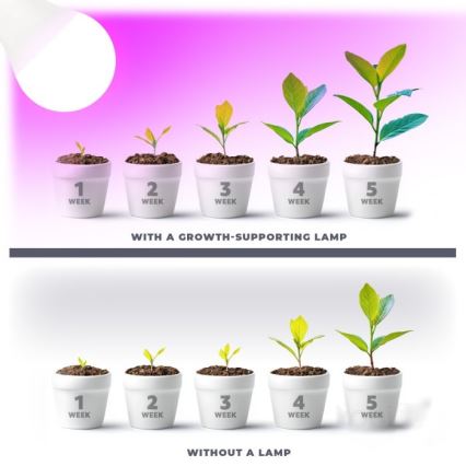 LED крушка за растеж на растения PLANTY E27/11W/230V 1200K бяла