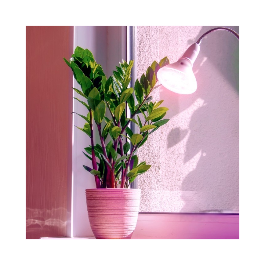 LED крушка за растеж на растения PLANTY E27/7W/230V 1200K бяла