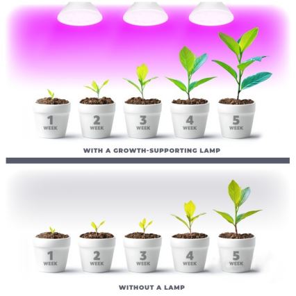 LED крушка за растеж на растения PLANTY E27/7W/230V 1200K бяла