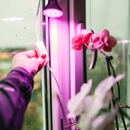 LED крушка за растеж на растения PLANTY E27/7W/230V 1200K черна