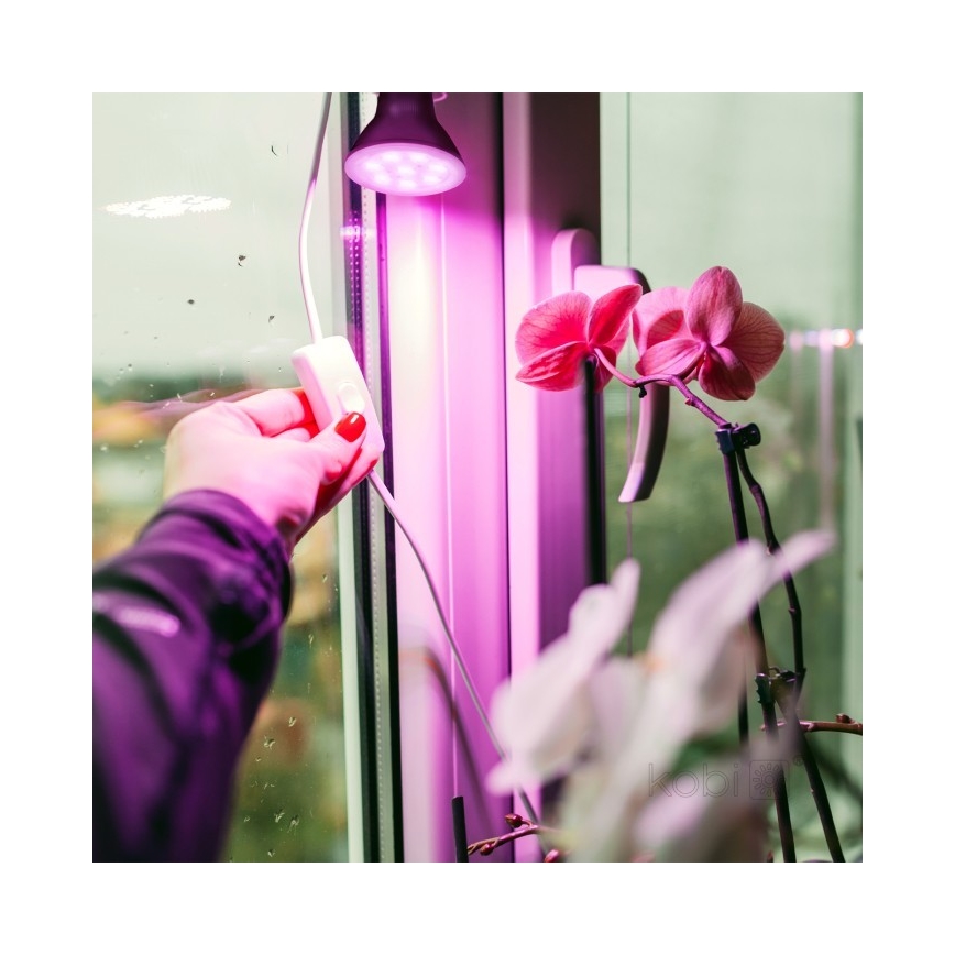 LED крушка за растеж на растения PLANTY E27/7W/230V 1200K черна