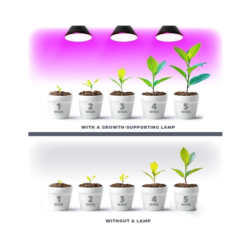 LED крушка за растеж на растения PLANTY E27/7W/230V 1200K черна