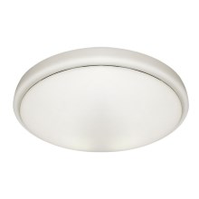 LED Осветление за тавана на банята PEPE LED/20W/230V IP44