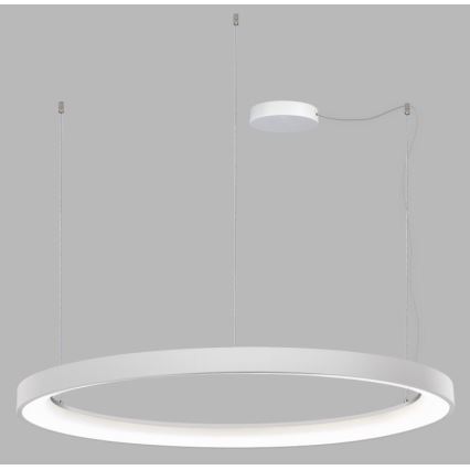 LED2 - LED Димируем пендел BELLA LED/80W/230V 3000K/4000K бял