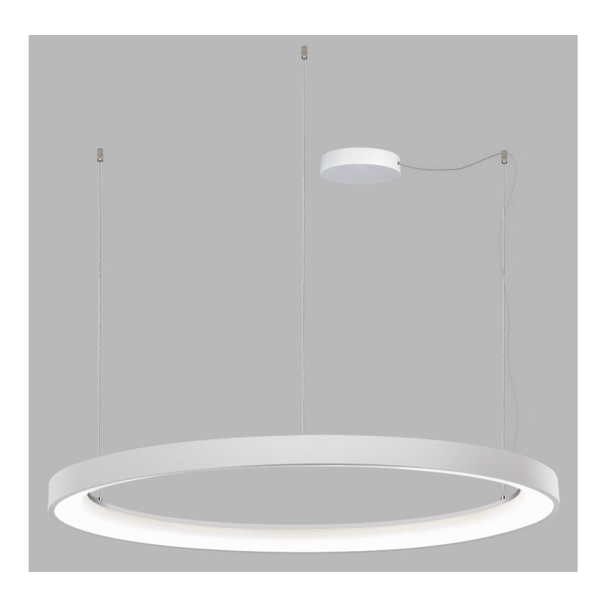 LED2 - LED Димируем пендел BELLA LED/80W/230V 3000K/4000K бял