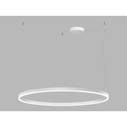 LED2 - LED Димируем пендел CIRCLE LED/80W/230V 3000K/4000K Ø 100 см бял