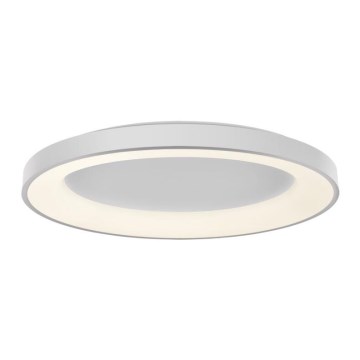 LED2 - LED Димируем плафон BELLA LED/80W/230V 3000K/4000K бял