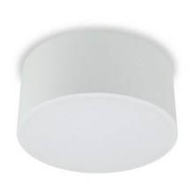 LED2 - LED Лампа BUTTON LED/17W/230V бяла